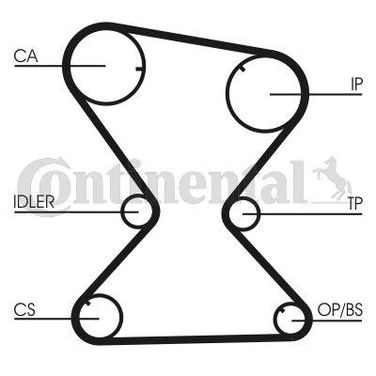 CONTINENTAL CTAM CT842 Belt - 3