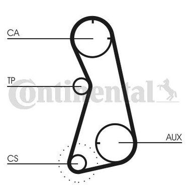 CONTINENTAL CTAM CT869 Belt - 3