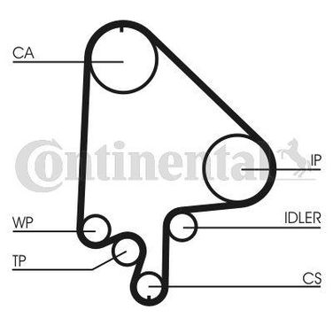 CONTINENTAL CTAM CT871 Belt - 4