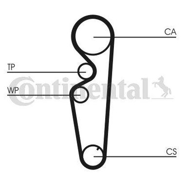 CONTINENTAL CTAM CT878 Belt - 3
