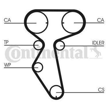CONTINENTAL CTAM CT887 Belt - 4