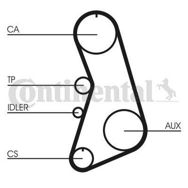 CONTINENTAL CTAM CT919 Belt - 4