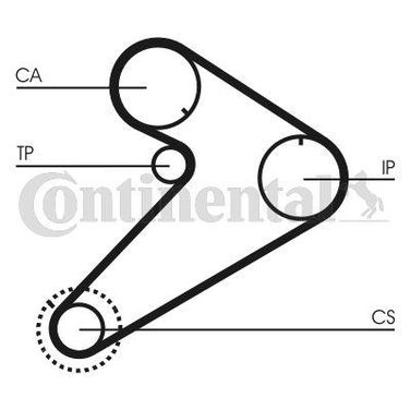 CONTINENTAL CTAM CT921 Belt - 4