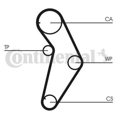 CONTINENTAL CTAM CT927K1 Belt Kit - 3