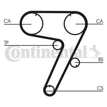CONTINENTAL CTAM CT931 Belt - 3