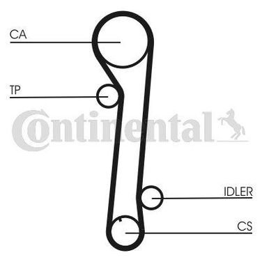 CONTINENTAL CTAM CT937 Belt - 4