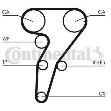 CONTINENTAL CTAM CT947 Belt - 4