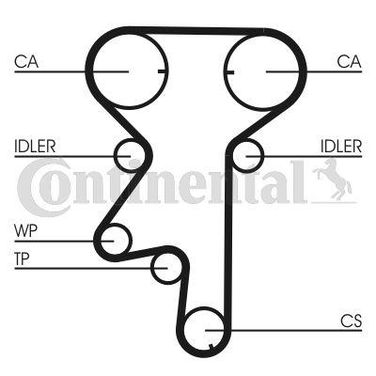 CONTINENTAL CTAM CT975 Belt - 4