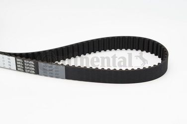 CONTINENTAL CTAM CT978 Belt - 3