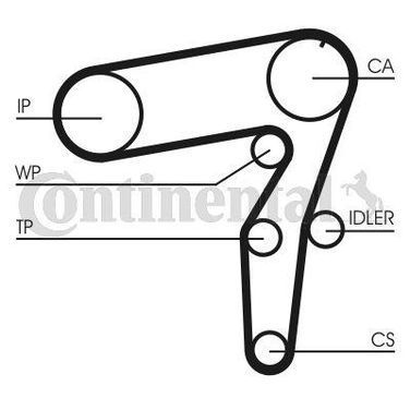 CONTINENTAL CTAM CT995 Belt - 4