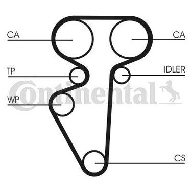 CONTINENTAL CTAM CT996 Belt - 4