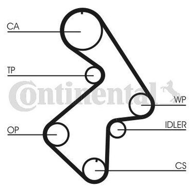 CONTINENTAL CTAM CT998 Belt - 3