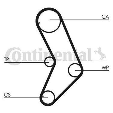 CONTINENTAL CTAM CT999K1 Belt Kit - 3