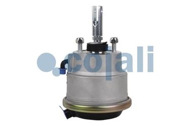COJALI 2851408  - 1