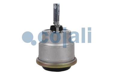 COJALI 2851408  - 2