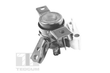 TEDGUM TED13922 Подушка ДВС правая - 2