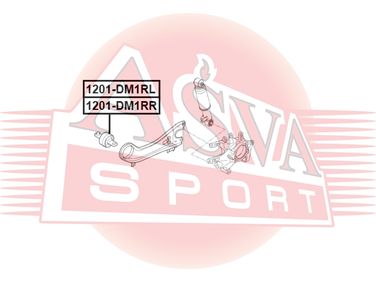 Asva 1201-DM1RR Сайлентблок заднего продольного рычага правый | зад лев | - 1