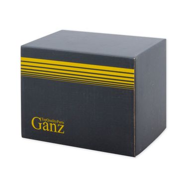 GANZ GIG16006 Катушка зажигания - 2