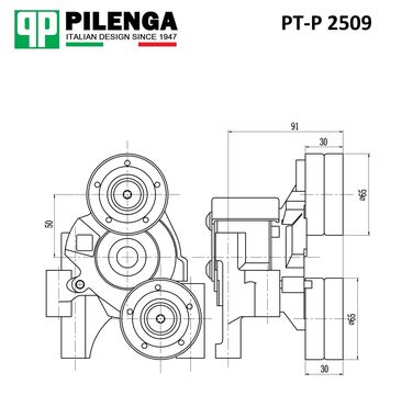 Pilenga PT-P 2509 Натяжитель ремня - 2