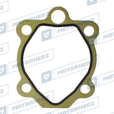 Motorherz HPP0008HGP Прокладка насоса ГУР - 1