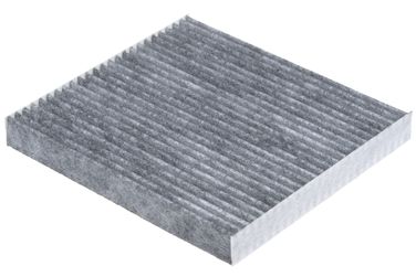 RAF Filter RSTC003MAY Фильтр салона - 1