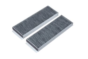 RAF Filter RSTC003AU Фильтр салона угольный - 1