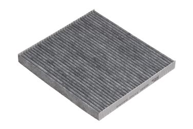 RAF Filter RSTC003TOY Фильтр салона угольный - 1