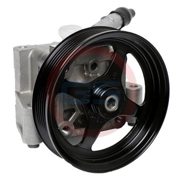 GS HP31002OE Ремкомплект насоса ГУР - 4