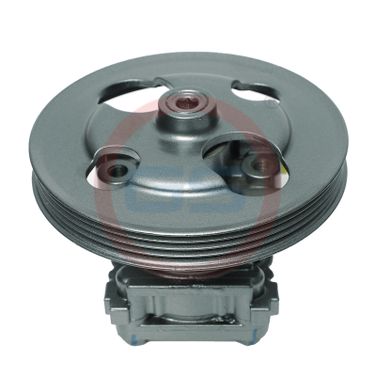 GS HP38011 Ремкомплект насоса ГУР - 6