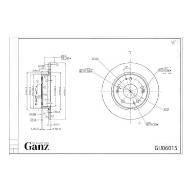 GANZ GIJ06015 Диск тормозной задний | зад | - 3