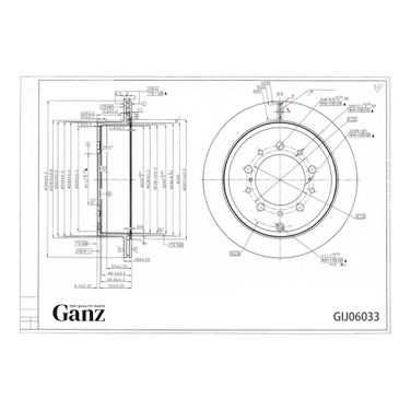 GANZ GIJ06033 Диск тормозной задний | зад | - 3