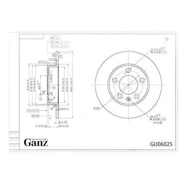 GANZ GIJ06025 Диск тормозной задний | зад | - 3