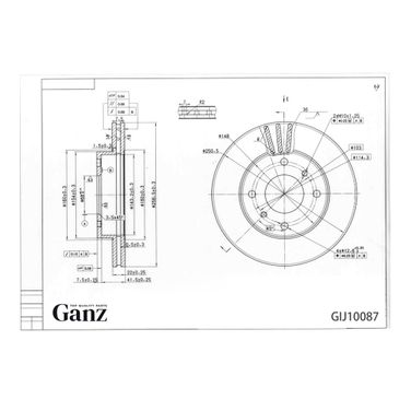 GANZ GIJ10087 Диск тормозной передний - 3
