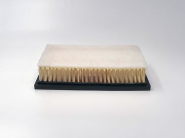 BIG Filter GB-95091PR Фильтр воздушный - 2