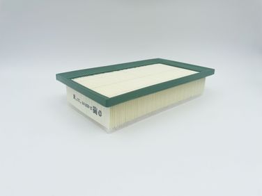 BIG Filter GB-95091PR Фильтр воздушный - 4
