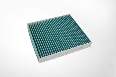 BIG Filter GB-9930/CA Фильтр салона антибактериальный - 1