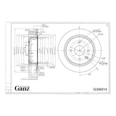 GANZ GIJ06014 Диск тормозной задний | зад | - 3
