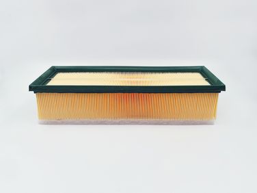 BIG Filter GB-9777PR Фильтр воздушный - 1