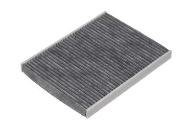 RAF Filter RSTC006FOY Фильтр салона угольный - 1