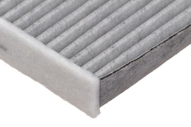 RAF Filter RSTC006FOY Фильтр салона угольный - 4