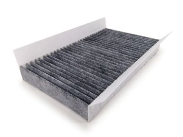 RAF Filter RSTC001LRY Фильтр салона угольный - 1