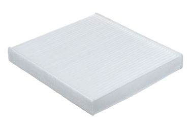 RAF Filter RST001SK Фильтр салона - 2