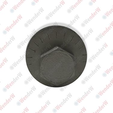 WENDERW WEL032 Болт развальный (m16x1,5x98-10.9) bmw x5 e70 (07-13), x6 e71 (08-14) - 2