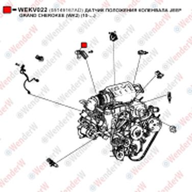 WENDERW WEKV022 Датчик положения коленвала jeep grand cherokee (wk2) (10-…) - 1