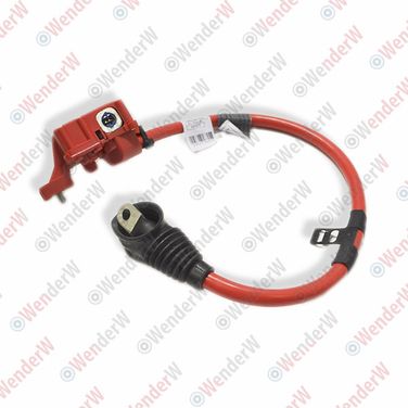 WENDERW WEKR0977 Клемма аккумулятора bmw 7 f01/f02 (08-15) - 2