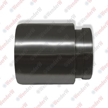 WENDERW WECE011 Поршень заднего тормозного суппорта mitsubishi lancer/lancer classic (00-11), outlander (03-12) - 1