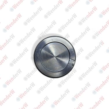 WENDERW WE009PC Поршень суппорта тормозного hyundai i10 (07-…), i20 (10-…) - 2