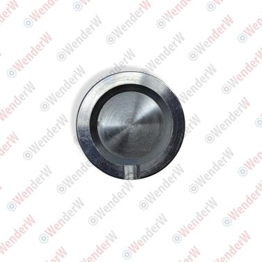 WENDERW WE008PC Поршень суппорта тормозного mercedes w163 (98-05) - 2