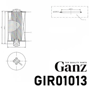 GANZ GIR01013 Фильтр масляный (вставка) - 4