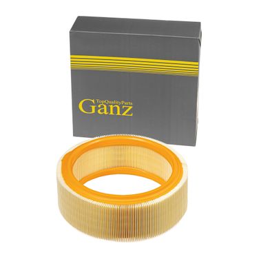 GANZ GIR04014 Фильтр воздушный renault megane/ kangoo/logan - 1